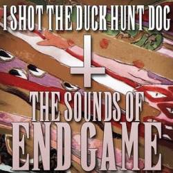 I Shot The Duck Hunt Dog : The Sounds of Endgame
